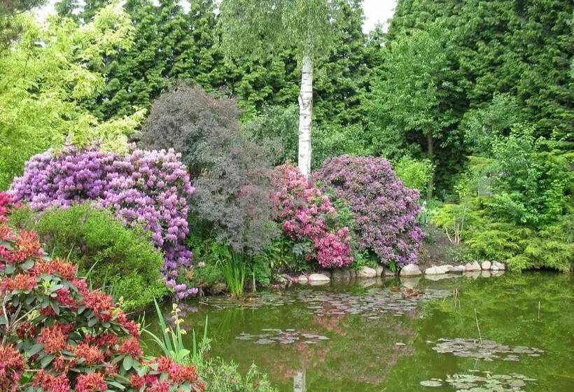 ホテル Lagunenstadt Am Haff Gmbh