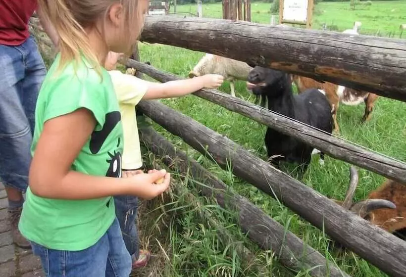 ホテル Lagunenstadt Am Haff Gmbh