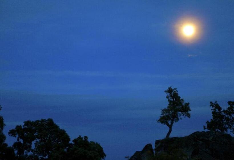 Отель Quinta Da Caldeireira