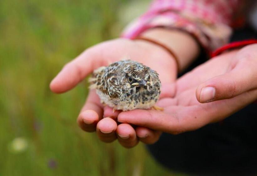 Отель Quinta Da Caldeireira