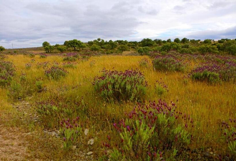 Отель Quinta Da Caldeireira