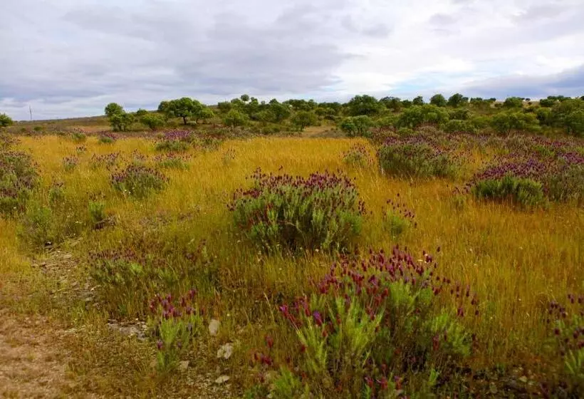 ホテル Quinta Da Caldeireira