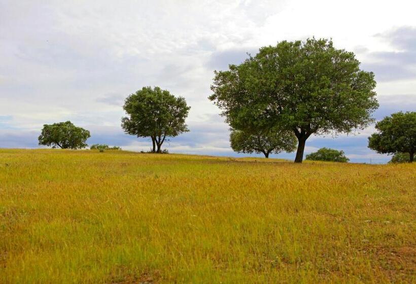 Отель Quinta Da Caldeireira