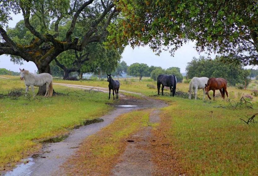 Отель Quinta Da Caldeireira