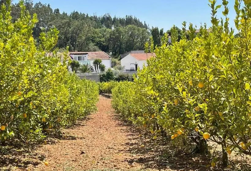 Majatalo Casa São Domingos