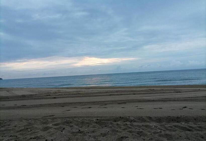 פנסיון Ivet Guest House