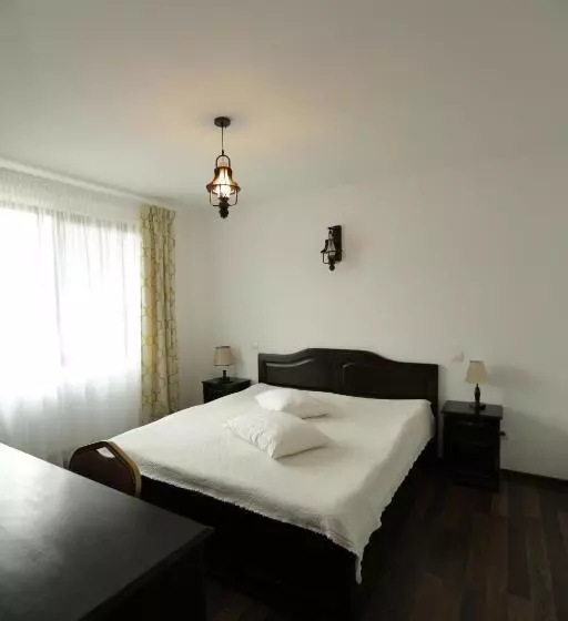 Aamiaismajoitus (B&B) Casa Domnească Cacica