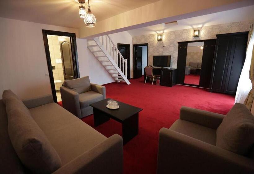 Bed and Breakfast Casa Domnească Cacica