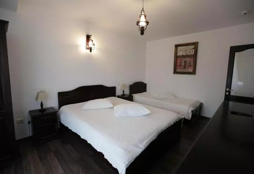 Aamiaismajoitus (B&B) Casa Domnească Cacica