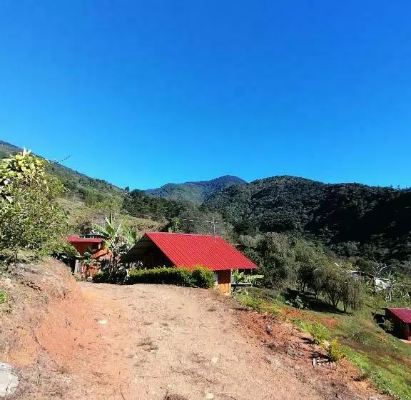 ベッドアンドブレックファースト Lodge El Quetzal Providencia