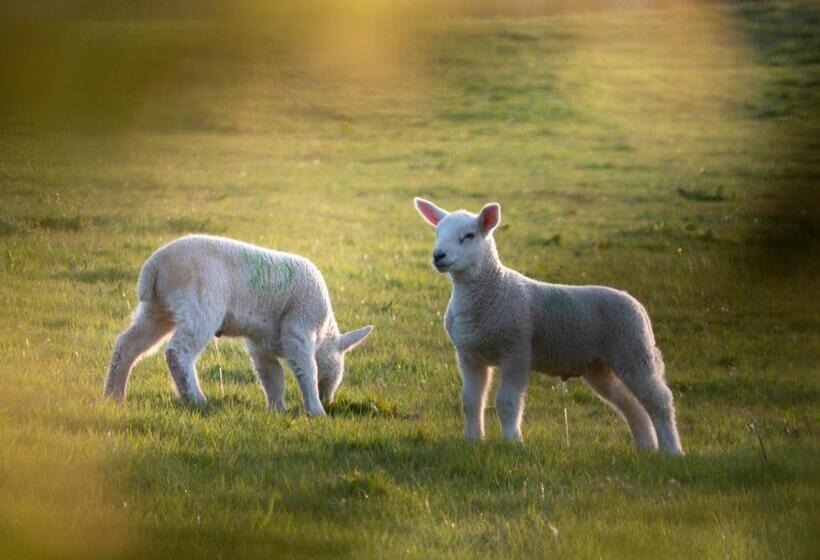 Bed and Breakfast Ronachan