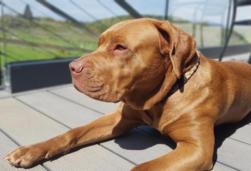 Bed and Breakfast Ronachan