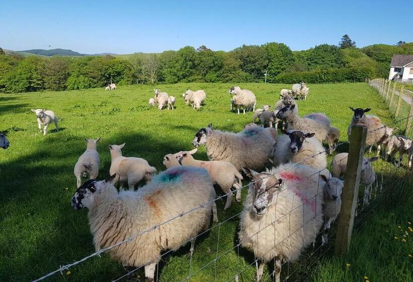 Bed and Breakfast Ronachan