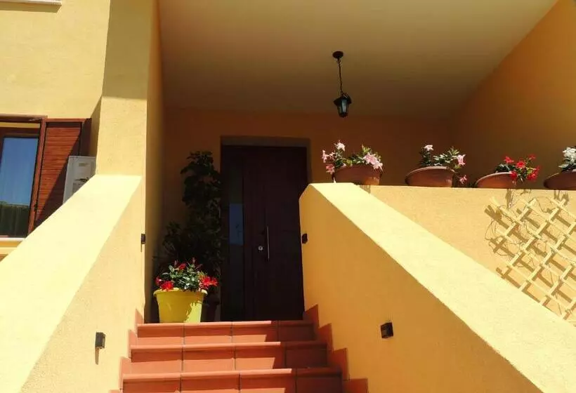Lalu S B&b
