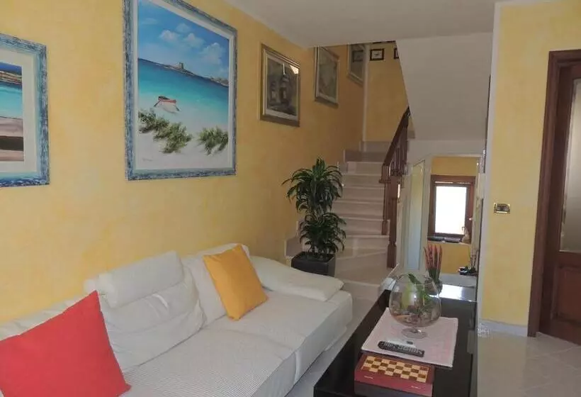 Lalu S B&b