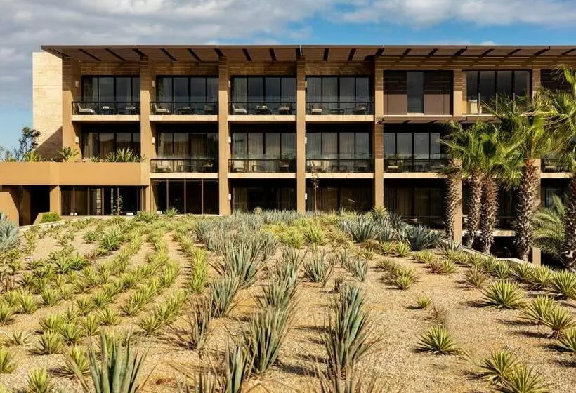 Hotelli Casa Maat At Jw Marriott Los Cabos Beach Resort & Spa