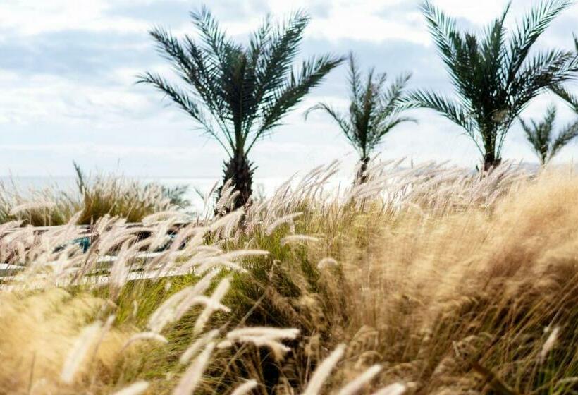 Hotelli Casa Maat At Jw Marriott Los Cabos Beach Resort & Spa