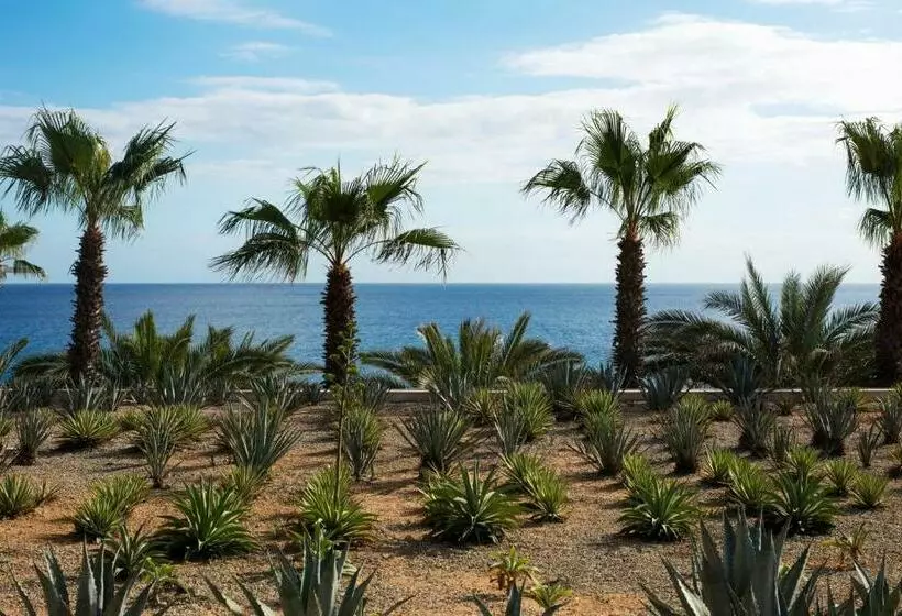 Hotelli Casa Maat At Jw Marriott Los Cabos Beach Resort & Spa