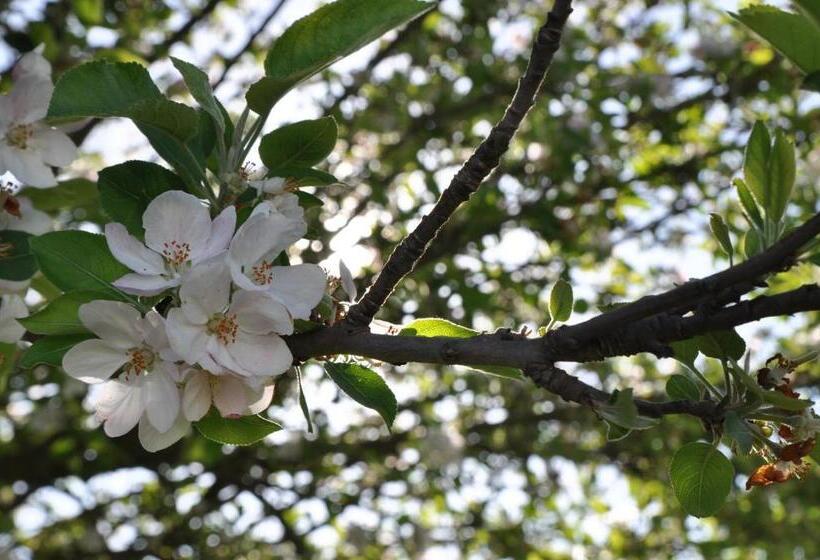 酒店 Passo Do Lobo   Turismo Rural