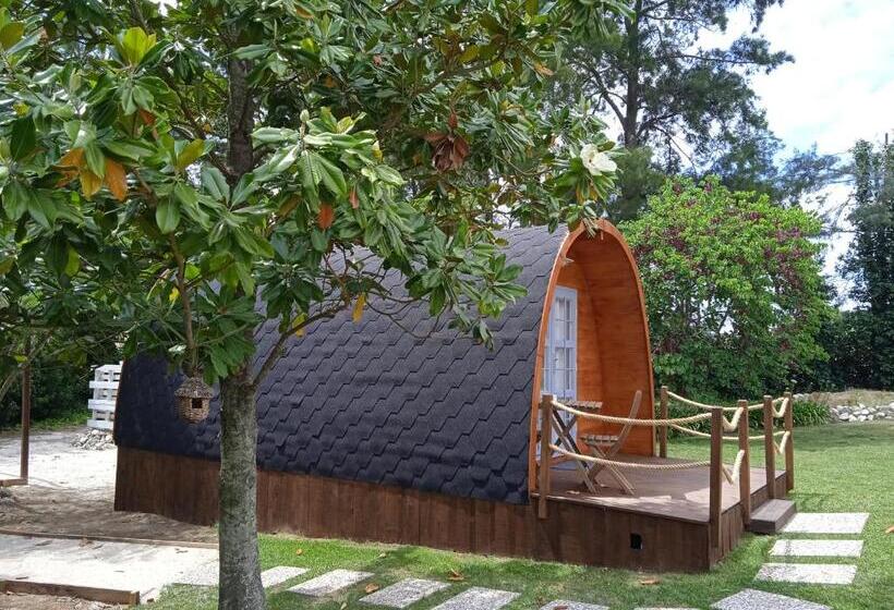 ペンション Alfaro 95