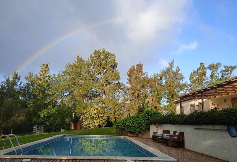 ペンション Alfaro 95