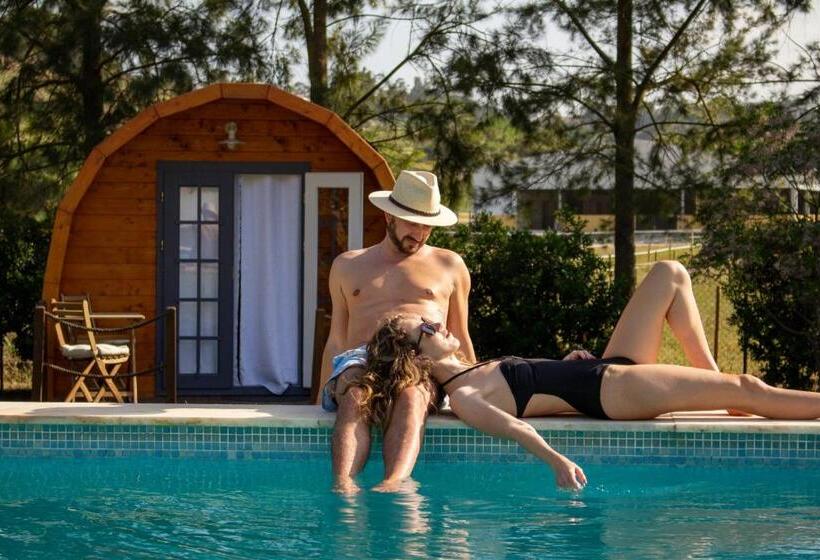 ペンション Alfaro 95