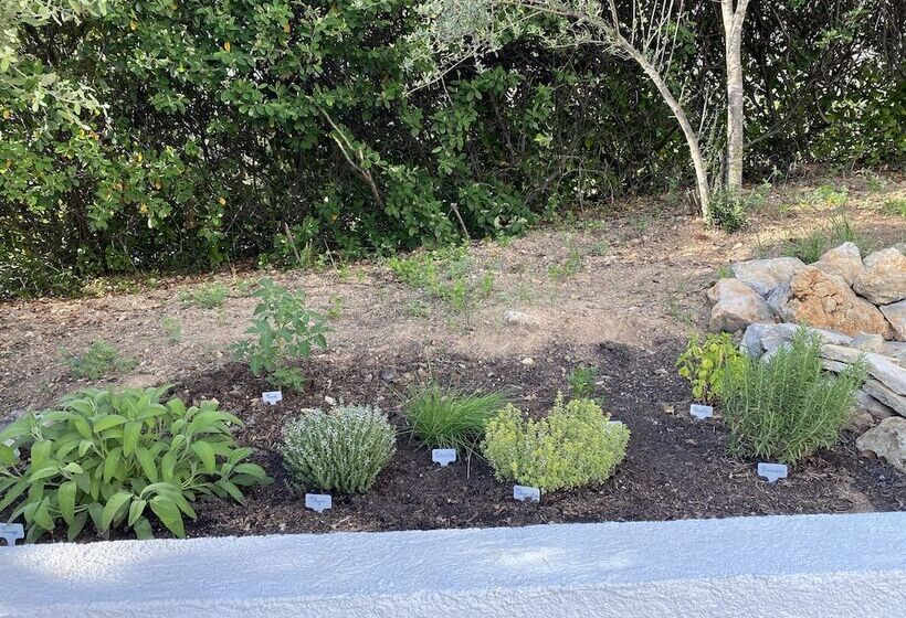 بنسيون Le Domaine Des Petits Princes