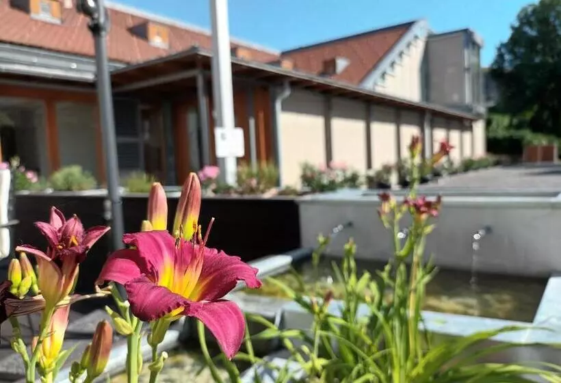 Gizella Hotel And Restaurant