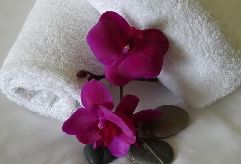 فندق فئة نجمة واحدة Gastehaus Fernblick