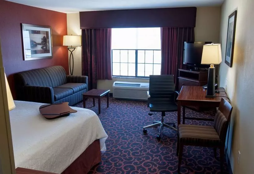 Отель Hampton Inn & Suites Watertown