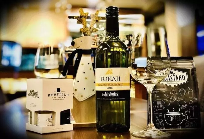 Отель Oreg Miskolcz