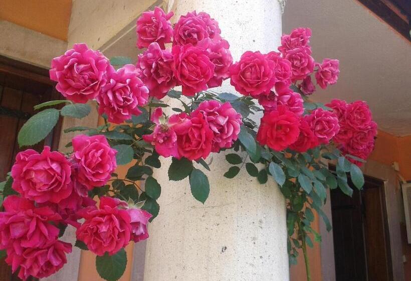 Пансион Akropolis Guest House