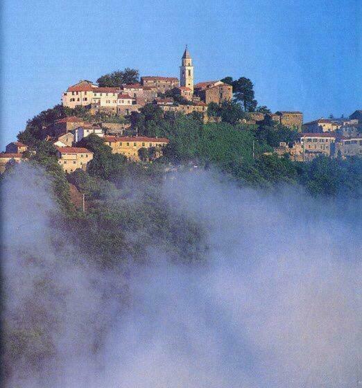 بنسيون Geckos House