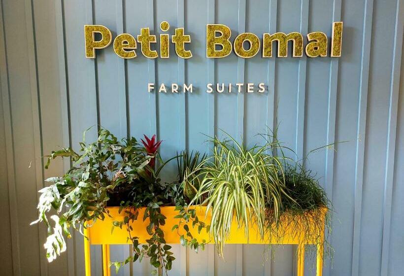 پانسیون Les Suites De Petit Bomal
