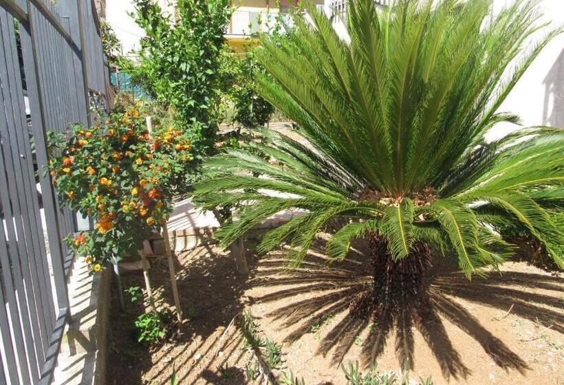 مبيت وإفطار La Cycas
