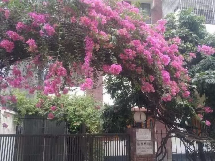 هتل Taz Garden House
