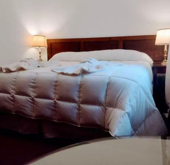 Hotelli Caupolican By Visionnaire