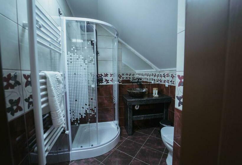 پانسیون Hanul Lui Mujdei