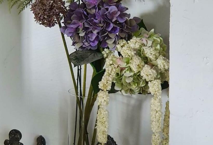 مبيت وإفطار Oharas