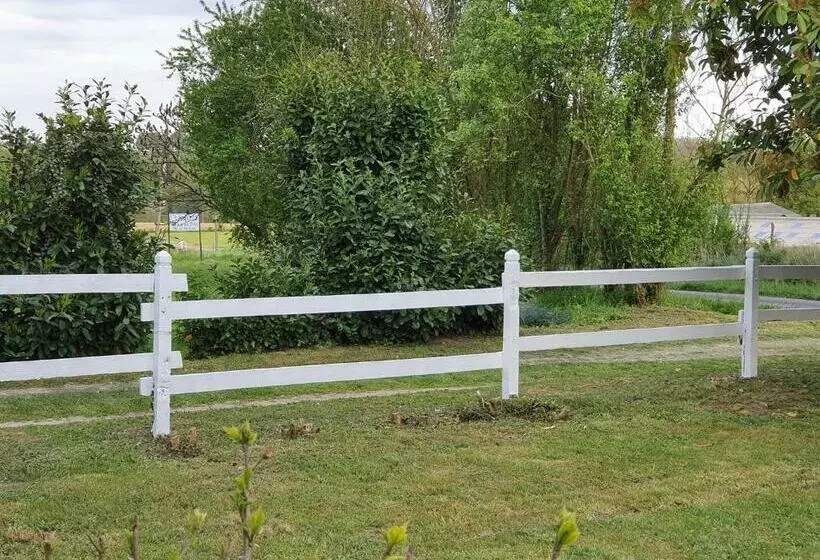 Aamiaismajoitus (B&B) Oharas