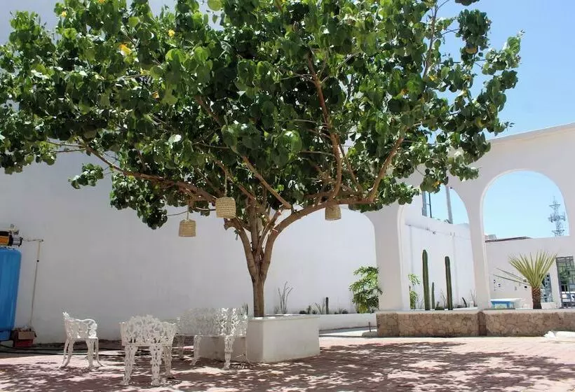 ホテル Casa Hidalgo