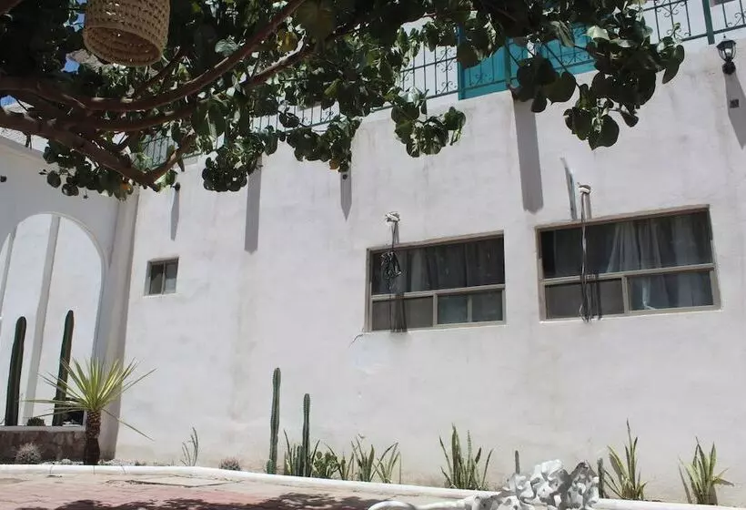 ホテル Casa Hidalgo