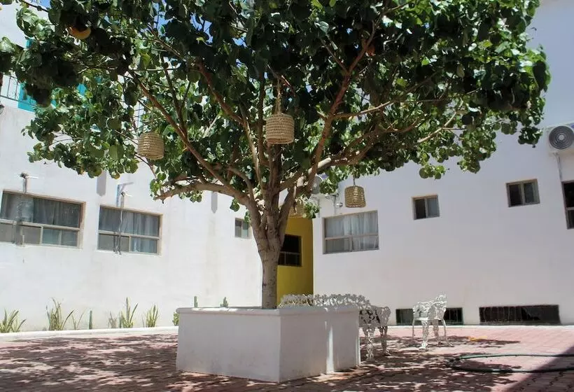 ホテル Casa Hidalgo