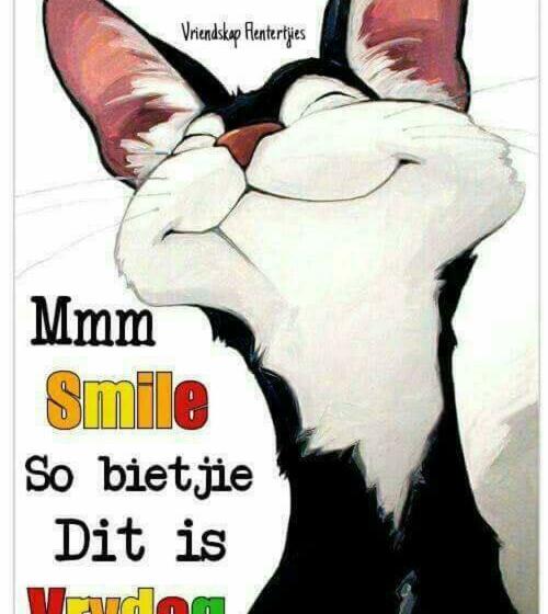 פנסיון Little Escape