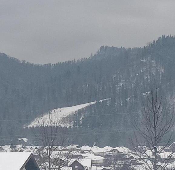 ペンション Casa Popa