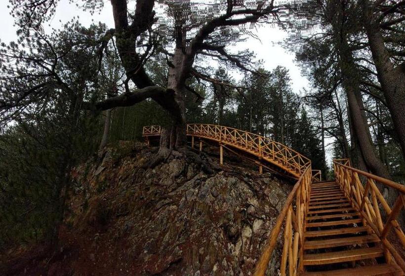 500м. от лифта сладък дом в белведере спа комплекс