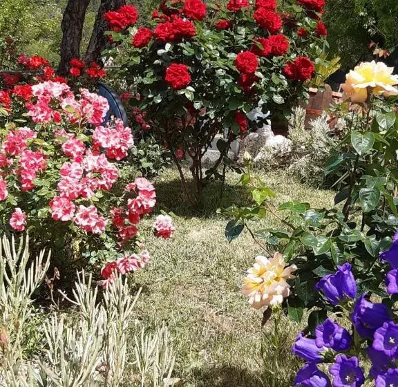 Aamiaismajoitus (B&B) Il Girasole