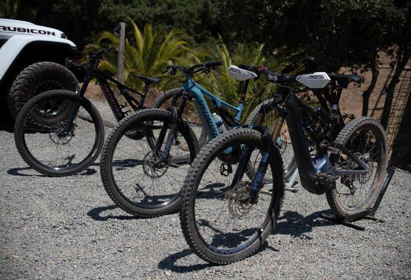 Boskenvid Hotel Boutique, Skypool