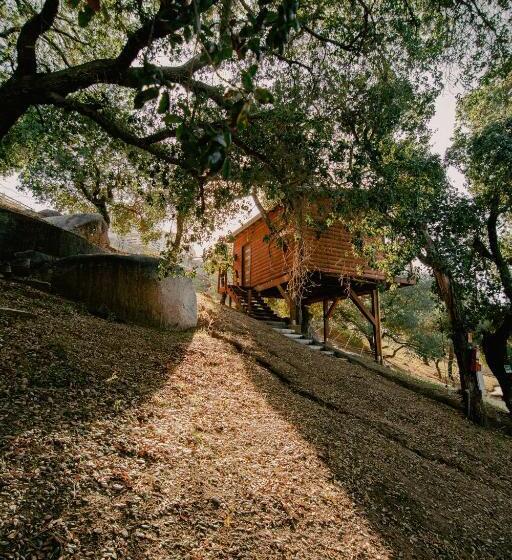 Boskenvid Hotel Boutique, Skypool