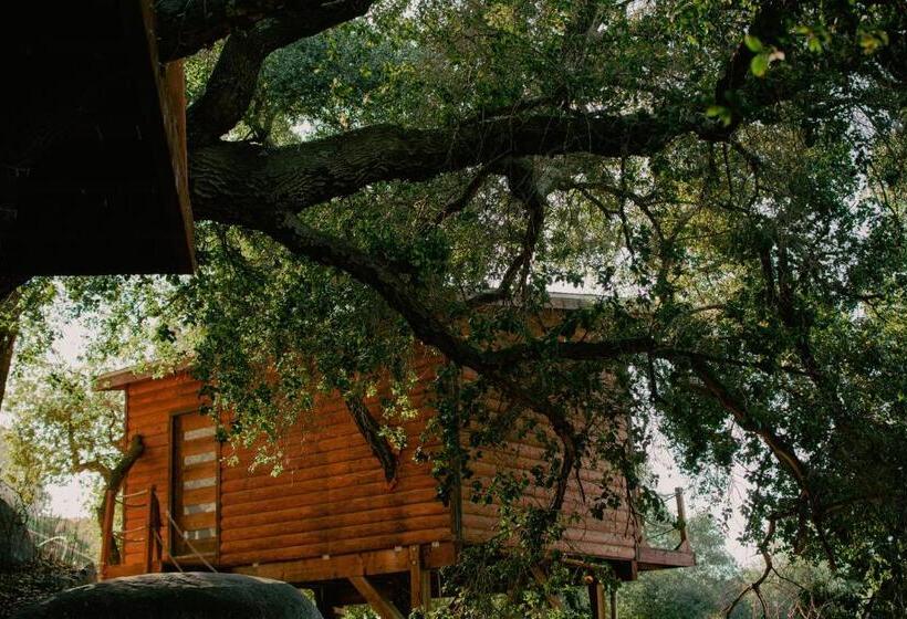 Boskenvid Hotel Boutique, Skypool